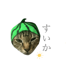 Home of brother Toranosuke