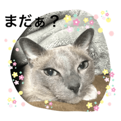 chie_20220320