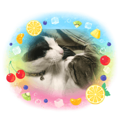 nanami_20220320145717