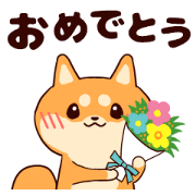 shibainudog3