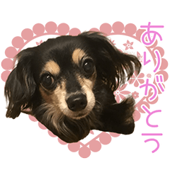 CHOKOBO and CHUUTA'S Sticker