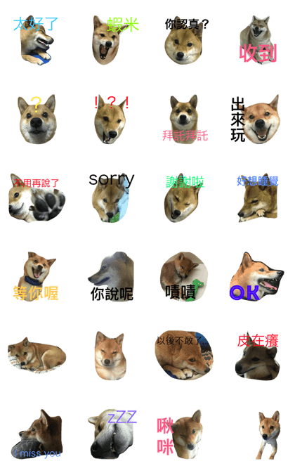 shiba-HaRu