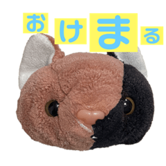 hikaru_20220320170616