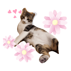 arisa_20220320144152