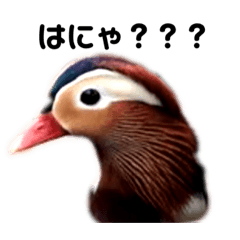 nanairo_20220320173916