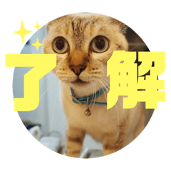 rei000000