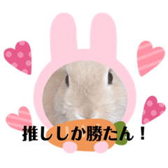 僕を推さない？