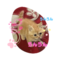 hikari_20220320182933