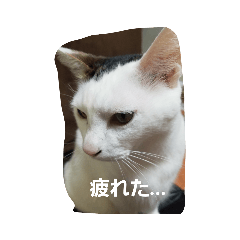 PORONYUKI_20220320202350