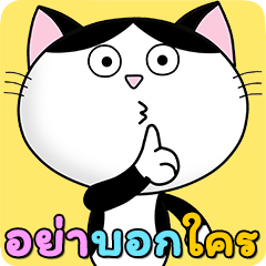 ก๊วน แมว เหมียว : ซน แต่ น่ารัก