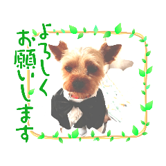 Michiko_20220321100939