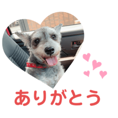 Miki_20220320215307