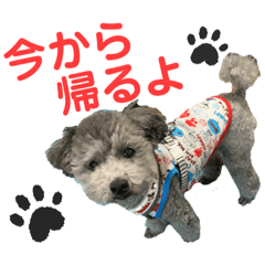 ye_20220320185517