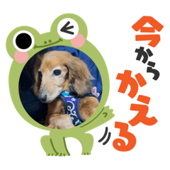 miko_20220320194532