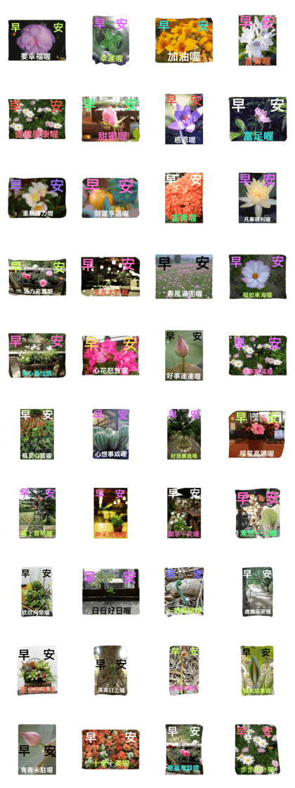 good morning/flowers