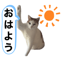 AI_20220320203114