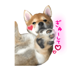 miki_20220320203736