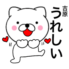 Name cat Yoshiwara