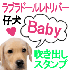 ラブラドールレトリバーpopの仔犬スタンプ Line スタンプ Line Store ラブラドールレトリバーpopの仔犬スタンプ Line スタンプ Line Store