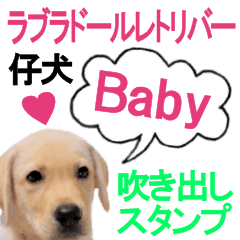 ラブラドールレトリバーpopの仔犬スタンプ Line スタンプ Line Store