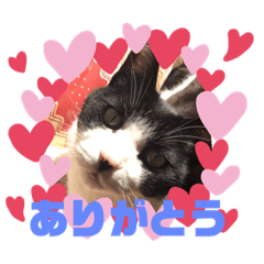 Saori_20220321004452