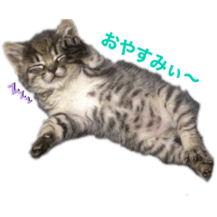 yuka_20220321123254