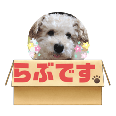 ayumi_20220321134002