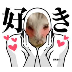 Yuina_20220320225230