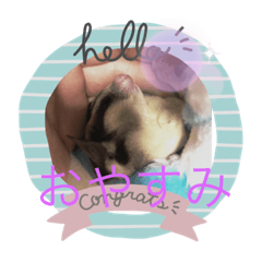 smile_20220320222225