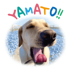 Yamato Labrador Retriever Stamp.