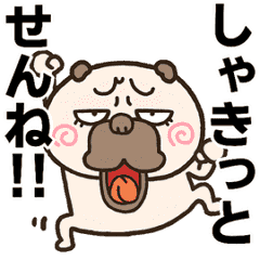 Annoying Pug ANIME[HAKATA-BEN] – LINE stickers | LINE STORE