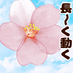 長く動き回る可愛い桜のお花