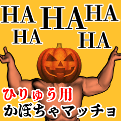 Hiryuu Pumpkin macho