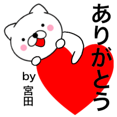 Name cat Miyata