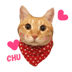 MeowWu
