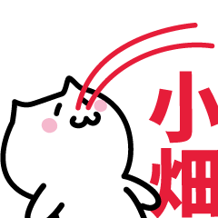 LAST NAME Sticker OHATA!!!