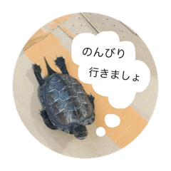 kusagame no ponzu