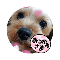 Michiko_20220321193914