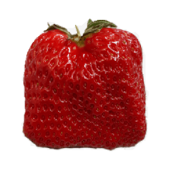 Yawning cat_20220321210333