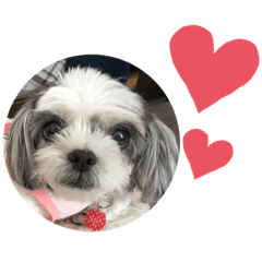 tomomi_20220322094017