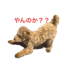 Mizuki_20220321211605