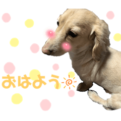 suzu_20220321223836
