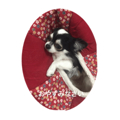 AYUMI_20220321175708