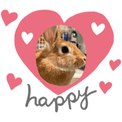 Nanami_20220321214848