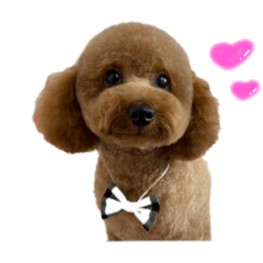 ayumi_20220321215117