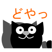 black cat and white cat black cat and white cat