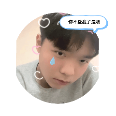 Bao shi
