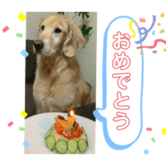 ayumi_20220321212844