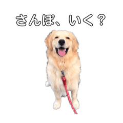 natsumi_20220322114958