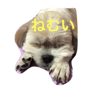 bu-chan.